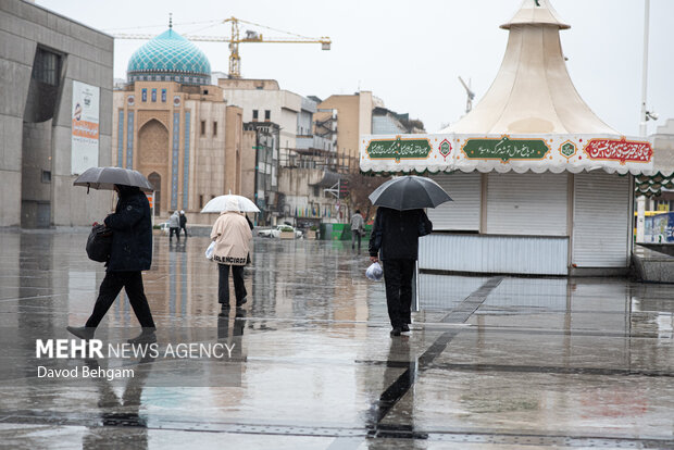 بارش باران در مشهد