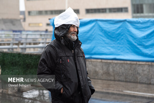 بارش باران در مشهد