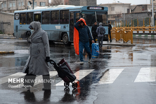بارش باران در مشهد