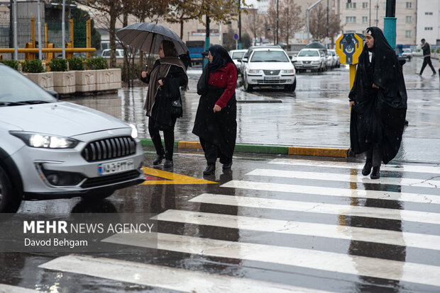 بارش باران در مشهد