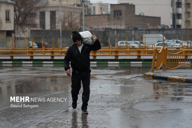 بارش باران در مشهد
