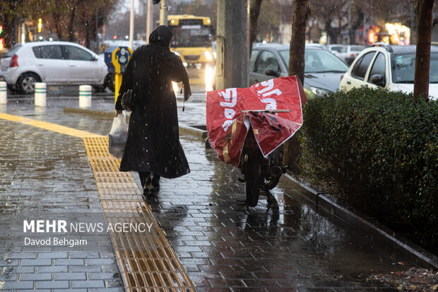 بارش باران در مشهد