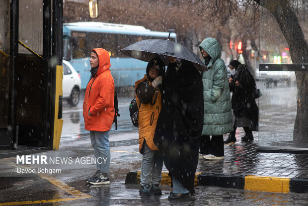 بارش باران در مشهد