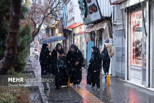 بارش باران در مشهد