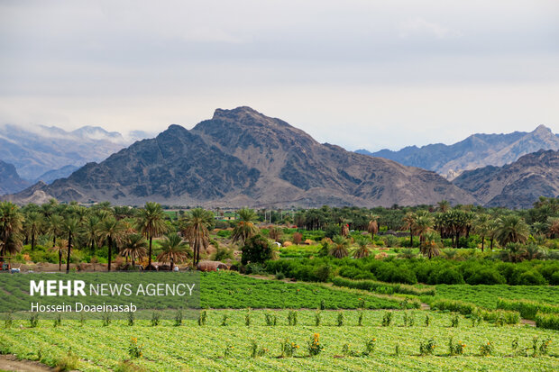 زیبایی طبیعت هشتبندی هرمزگان پس از باران