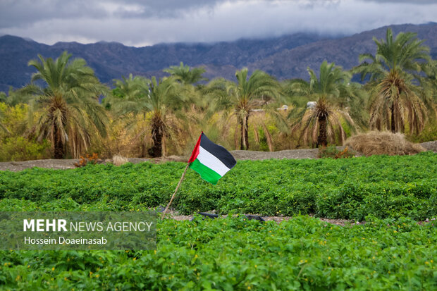 زیبایی طبیعت هشتبندی هرمزگان پس از باران