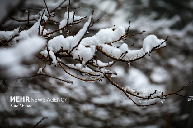 بارش برف در کاخک گناباد