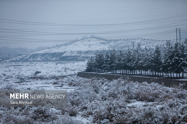 رضایی پور: دمای هوای مشهد در شب یلدا به منفی ۸ درجه می رسد