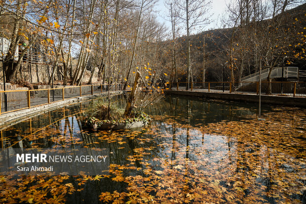 پاییز شاندیز