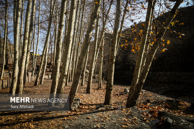 پاییز شاندیز