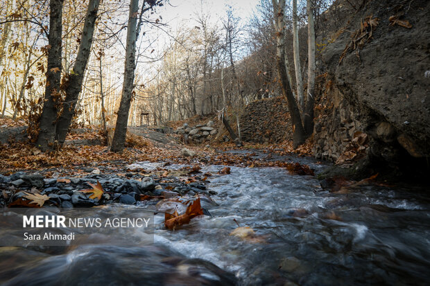 پاییز شاندیز