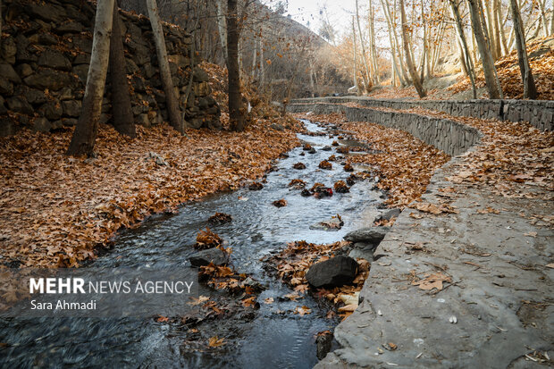 پاییز شاندیز