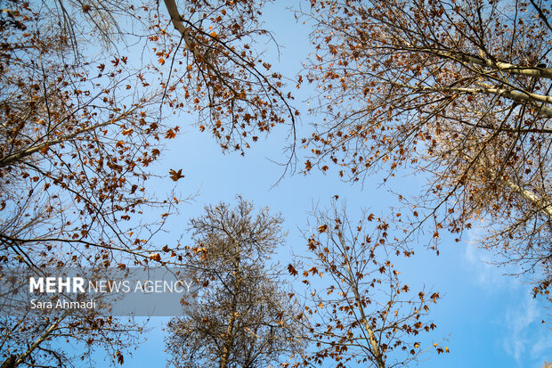 پاییز شاندیز