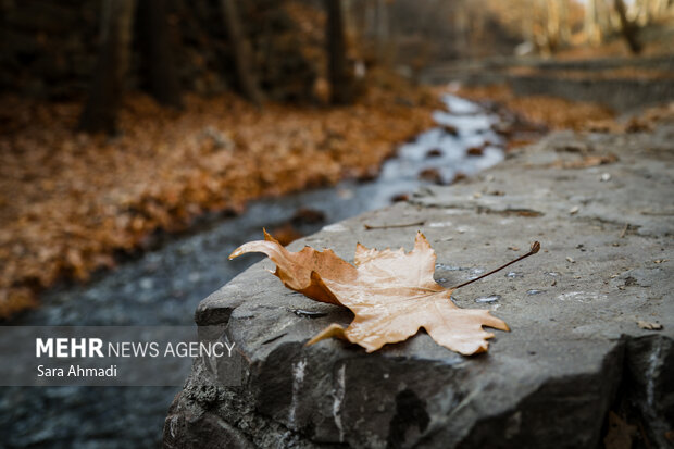 پاییز شاندیز