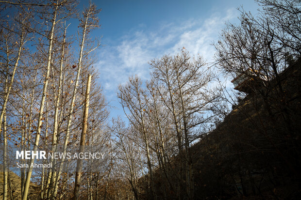 پاییز شاندیز