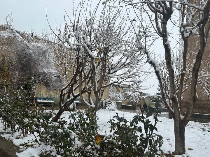 یک روز برفی در شهرستان چناران