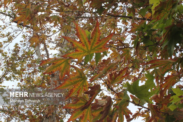 پاییز کم‌باران، اما دل‌نشینِ خرم‌آباد
