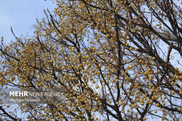 پاییز کم‌باران، اما دل‌نشینِ خرم‌آباد