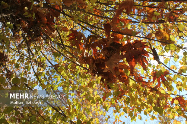 پاییز کم‌باران، اما دل‌نشینِ خرم‌آباد