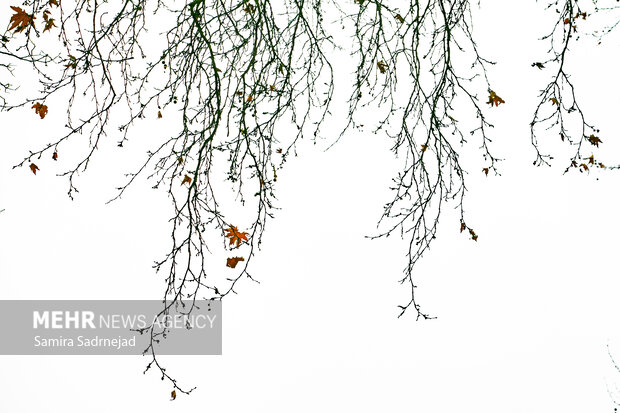 آخرین روزهای پاییز تهران