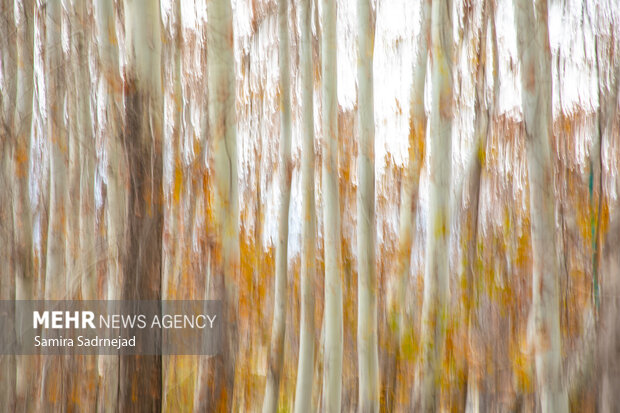 آخرین روزهای پاییز تهران