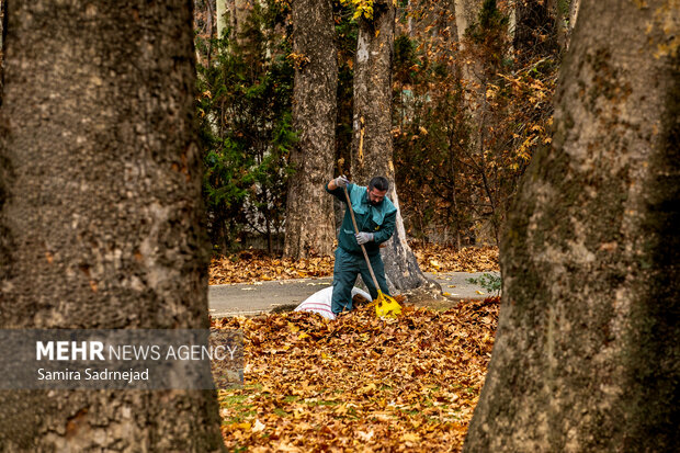 آخرین روزهای پاییز تهران
