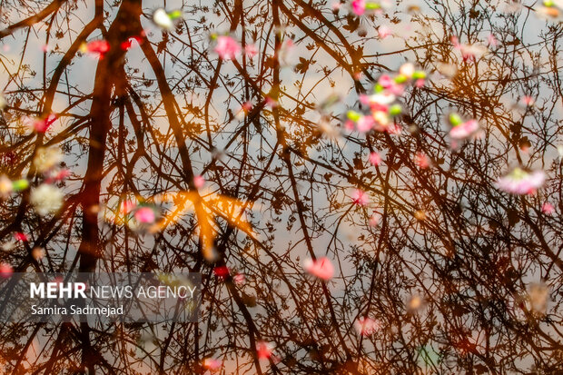آخرین روزهای پاییز تهران