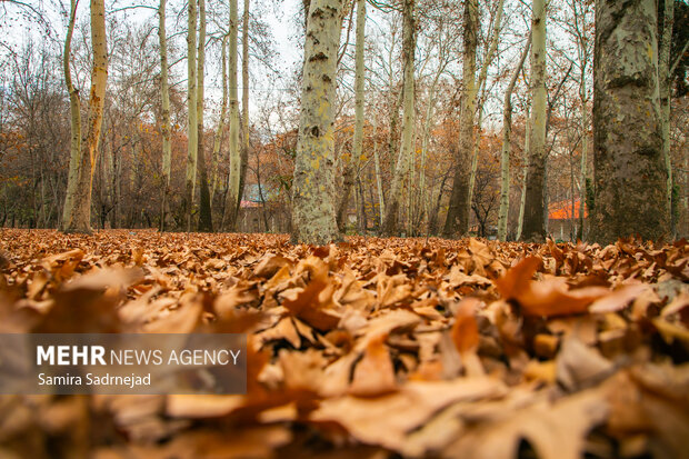 آخرین روزهای پاییز تهران