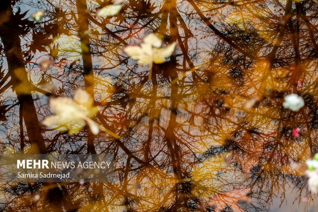آخرین روزهای پاییز تهران