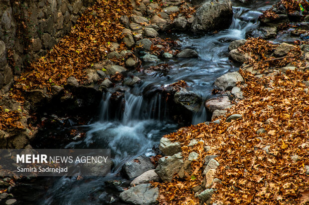 آخرین روزهای پاییز تهران
