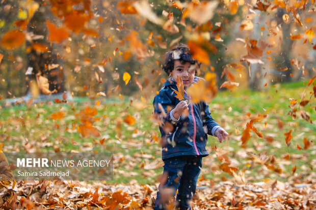 آخرین روزهای پاییز تهران