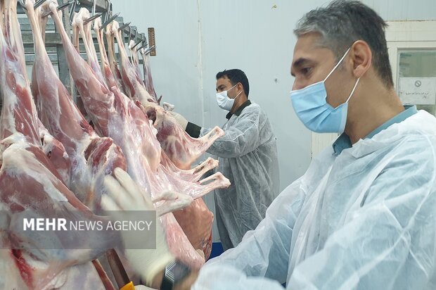 طرح ساماندهی کشتار دام در استان بوشهر اجرا شد