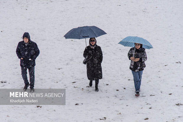 نخستین برف پاییزی در نصف جهان