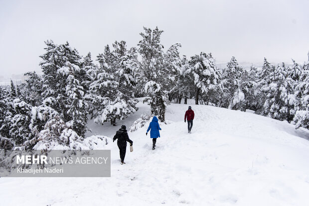نخستین برف پاییزی در نصف جهان