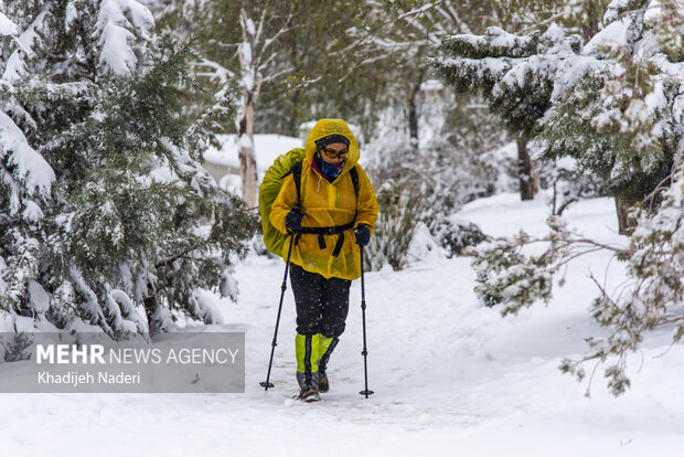 نخستین برف پاییزی در نصف جهان
