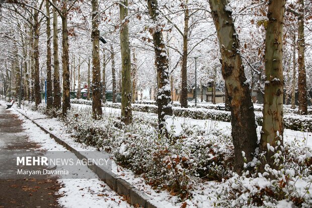 فعالیت آخرین موج بارشی در کشور؛ بارش‌های پراکنده و موقتی در ۵ استان